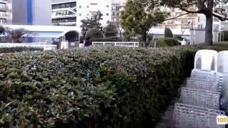 91大黄鸭最新流出第19部露脸啪高筒丝袜高颜值大学生美女